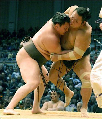 20111026-sumo-info  hakuho spf0911231817004-p1.jpg